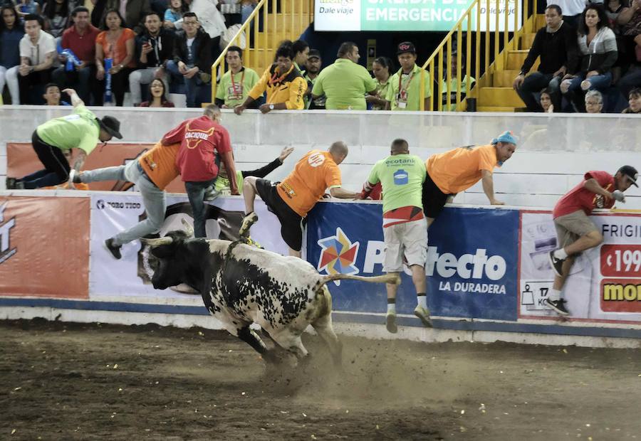 «Toreros improvisados» como se les conocen en Costa Rica, participan en una corrida de toros durante la tradicional Fiesta de Zapote, la cual se celebra anualmente entre la última semana de diciembre y la primera de enero, hoy en San José (Costa Rica).