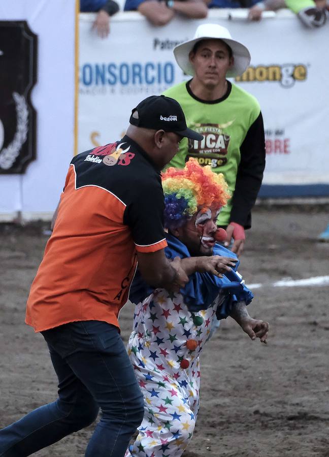 «Toreros improvisados» como se les conocen en Costa Rica, participan en una corrida de toros durante la tradicional Fiesta de Zapote, la cual se celebra anualmente entre la última semana de diciembre y la primera de enero, hoy en San José (Costa Rica).
