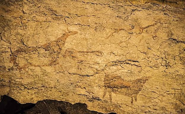 Los ciervos de El Pendo. / DANIEL PEDRIZA