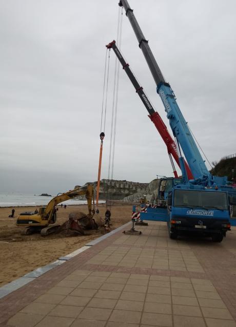 Imagen - La grúa trabaja en el lugar donde está la ballena. 