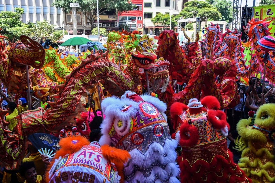 El distrito de Liberdade en Sao Paulo, Brasil, festeja la danza del dragón, a fin de celebrar el Año Nuevo Lunar Chino, el Año del Cerdo.