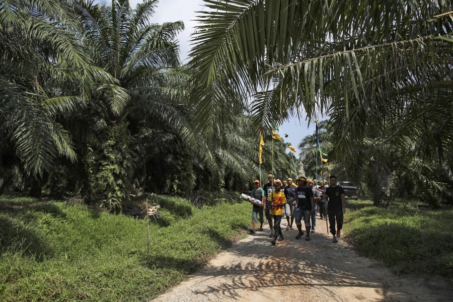 Los miembros de la tribu de Mah Meri, indígenas de Malasia, usan una máscara tradicional antes de iniciar el ritual «Puja Pantai», como gesto de agradecimiento que reza a los espíritus de los mares en Pulau Carey, a las afueras de Kuala Lumpur. 