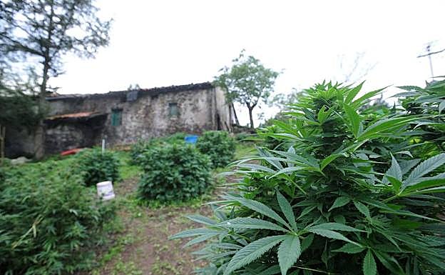 Caserío de Eibar en el que un joven murió durante un robo a una plantación de marihuana en 2013.