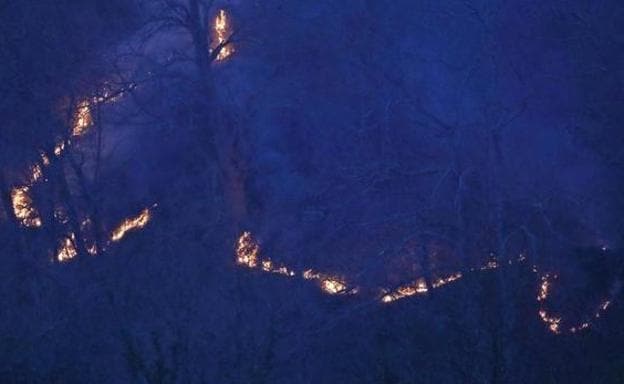 Imagen de los incendios de Cabuérniga.