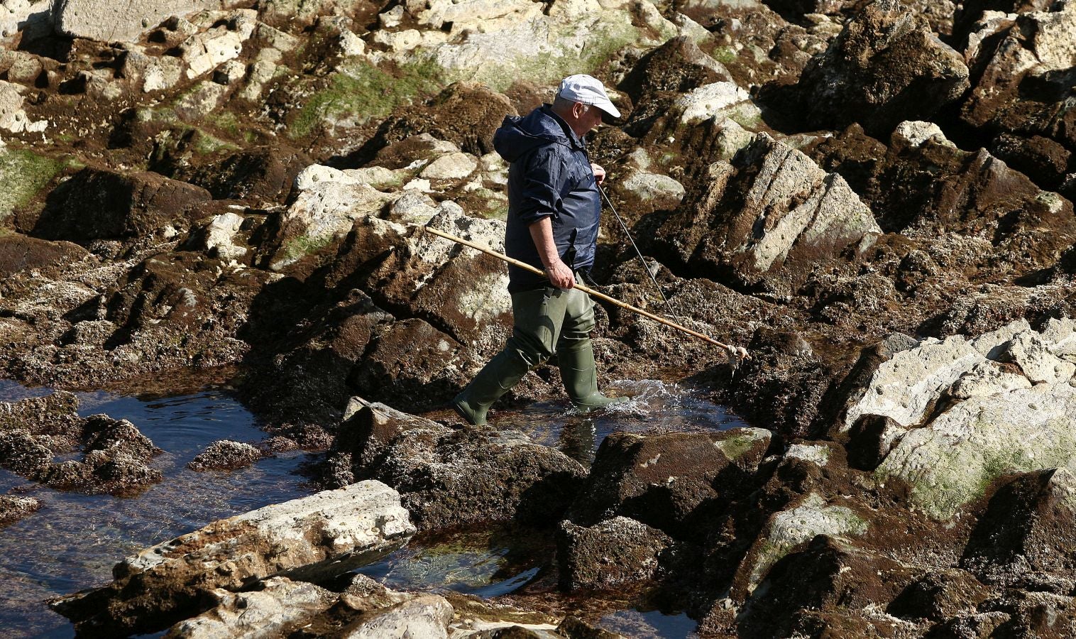 Las mareas vivas de estos días están dejando imágenes impresionantes en la costa guipuzcoana. Este jueves por la mañana el fondo marino de la playa donostiarra de Ondarreta ha quedado a la vista de los curiosos.
