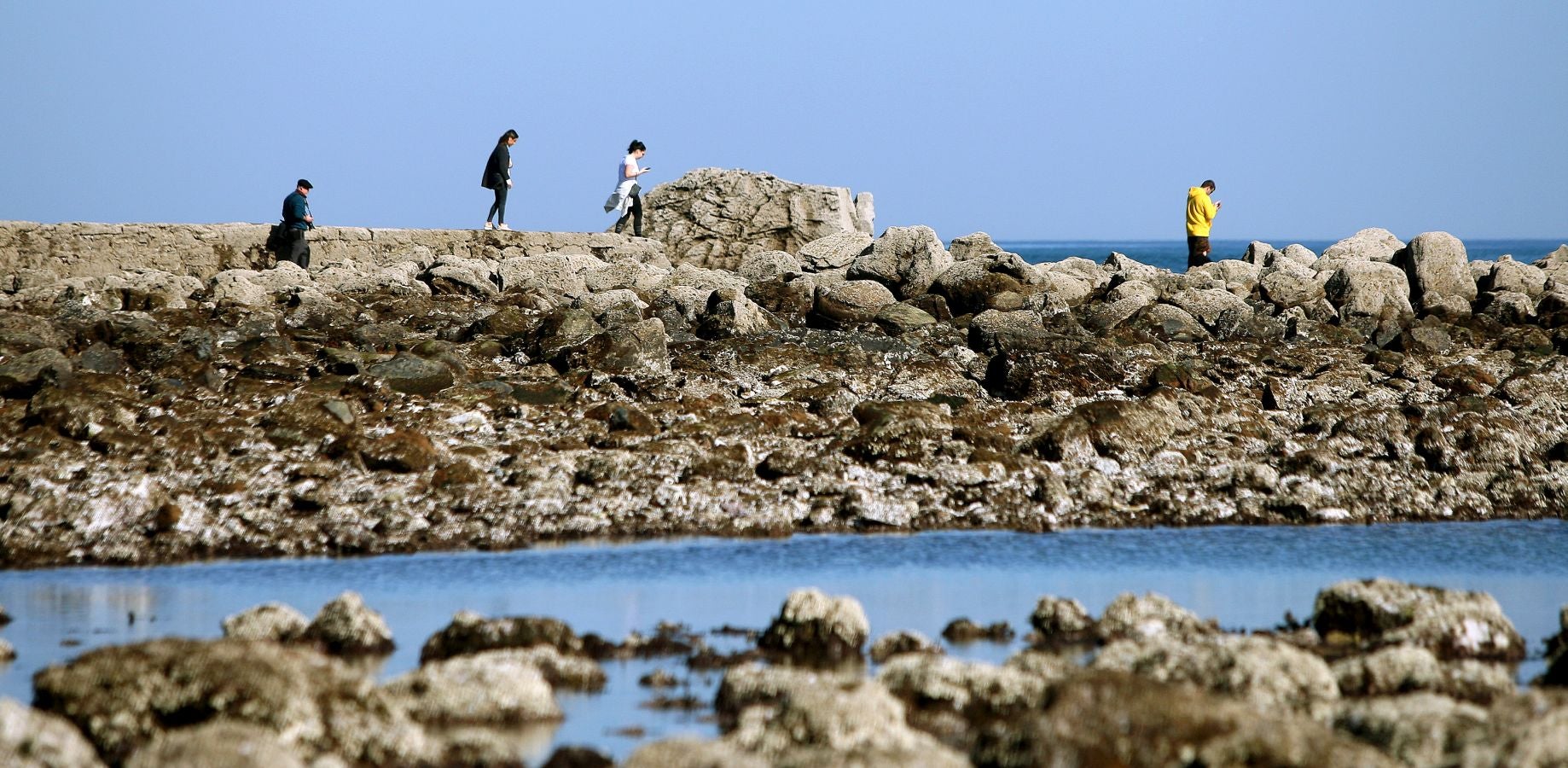 Las mareas vivas de estos días están dejando imágenes impresionantes en la costa guipuzcoana. Este jueves por la mañana el fondo marino de la playa donostiarra de Ondarreta ha quedado a la vista de los curiosos.