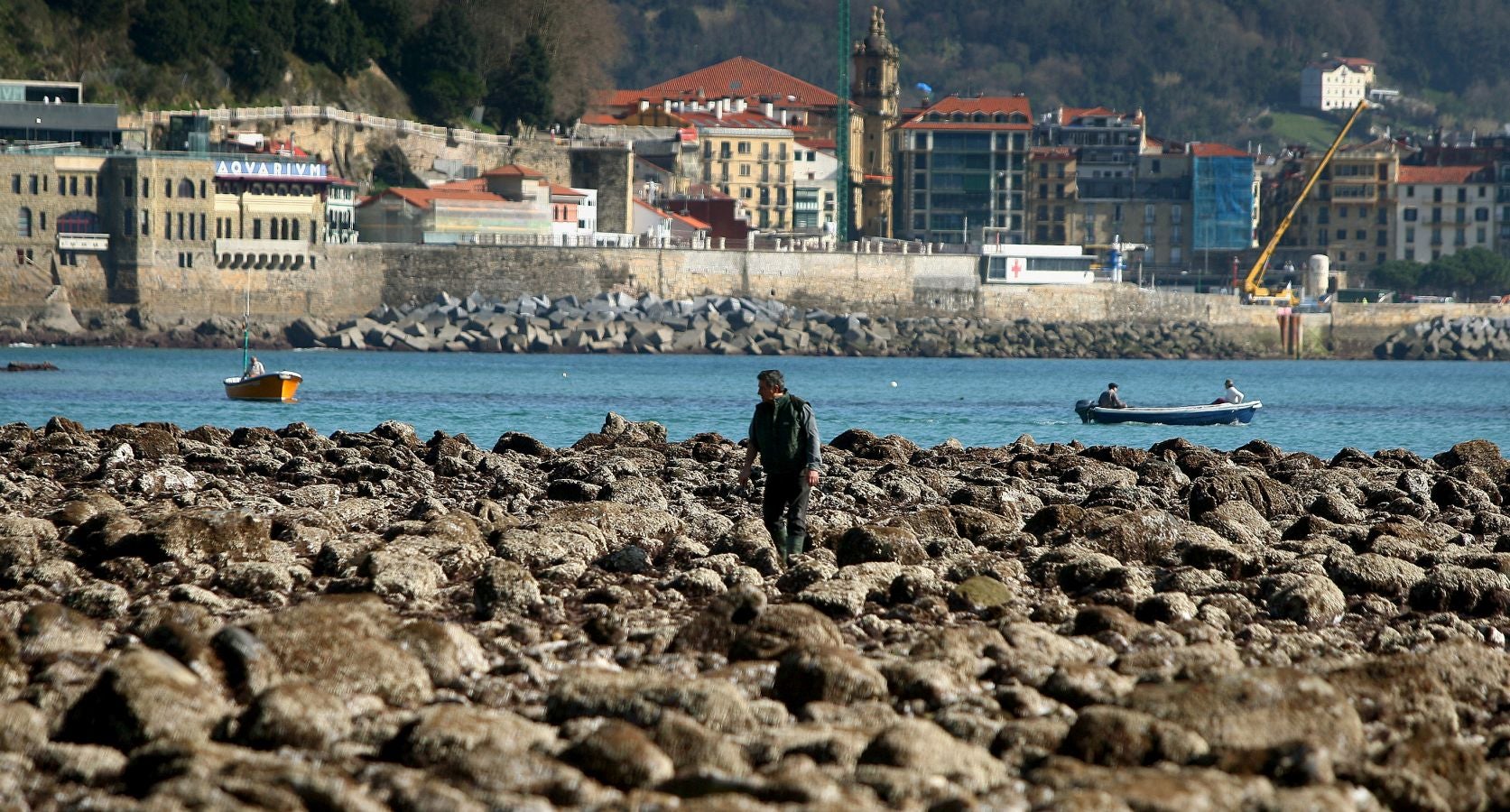 Las mareas vivas de estos días están dejando imágenes impresionantes en la costa guipuzcoana. Este jueves por la mañana el fondo marino de la playa donostiarra de Ondarreta ha quedado a la vista de los curiosos.