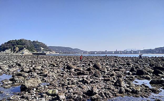 La bahía de San Sebastián