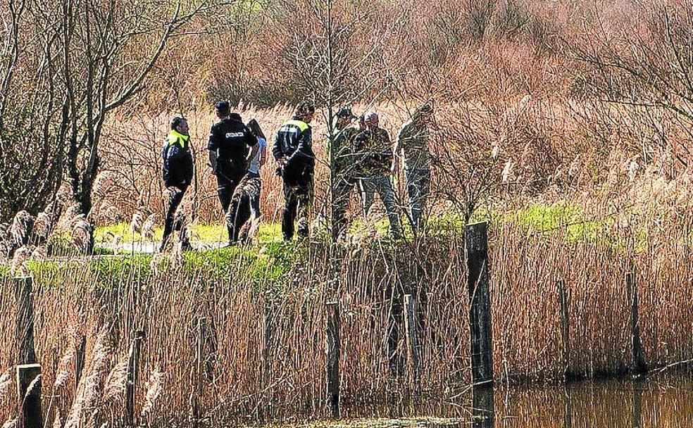 Los expertos buscan ayer a la víbora de Gabón en las marismas de Jaizubia.