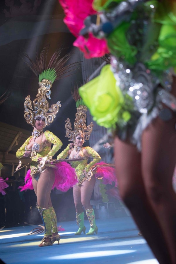 Los carnavales de Santa Cruz de Tenerife son unas de las celebraciones más conocidas a nivel mundial. Así, el evento, de un mes de duración, comenzó el 1 de febrero y finaliza el 10 de marzo con orquestas que tocan ritmos caribeños y brasileños con actuaciones que van desde la elección de la Reina del Carnaval, la Reina menor y la Reina mayor, bandas callejeras satíricas, comparsas y hasta actuaciones por las calles. 