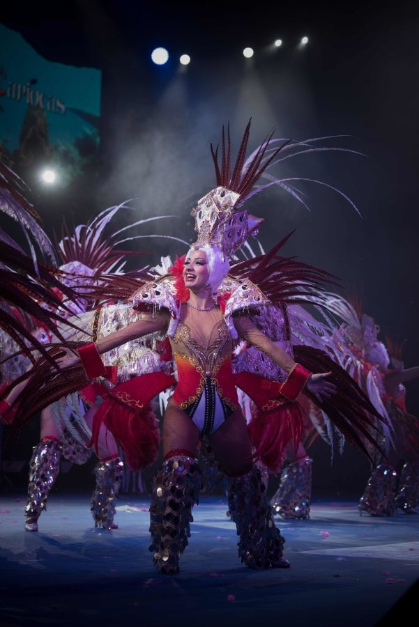 Los carnavales de Santa Cruz de Tenerife son unas de las celebraciones más conocidas a nivel mundial. Así, el evento, de un mes de duración, comenzó el 1 de febrero y finaliza el 10 de marzo con orquestas que tocan ritmos caribeños y brasileños con actuaciones que van desde la elección de la Reina del Carnaval, la Reina menor y la Reina mayor, bandas callejeras satíricas, comparsas y hasta actuaciones por las calles. 