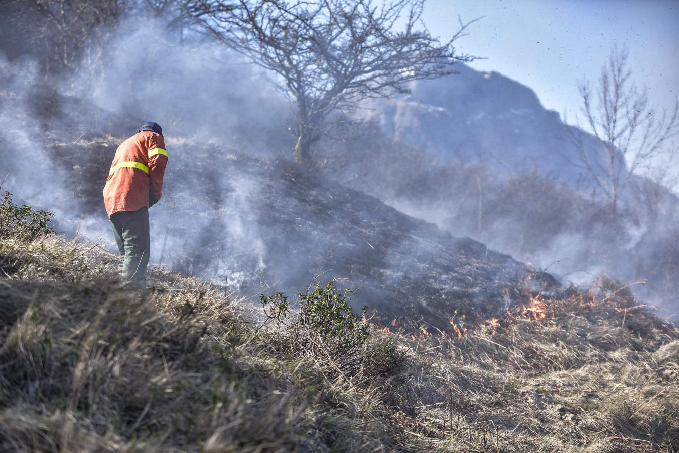 Hacia la una de la madrugada de este miércoles, los bomberos han tenido que actuar de urgencia, ya que el fuego ha llegado rápidamente a zonas cercanas a Bedaio y a la cima del monte Zabalegi.