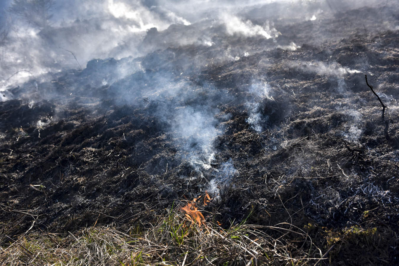 Hacia la una de la madrugada de este miércoles, los bomberos han tenido que actuar de urgencia, ya que el fuego ha llegado rápidamente a zonas cercanas a Bedaio y a la cima del monte Zabalegi.
