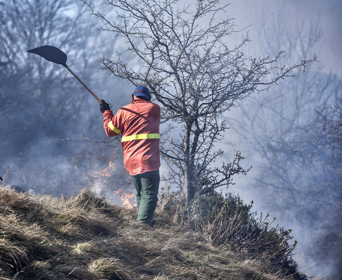 Hacia la una de la madrugada de este miércoles, los bomberos han tenido que actuar de urgencia, ya que el fuego ha llegado rápidamente a zonas cercanas a Bedaio y a la cima del monte Zabalegi.