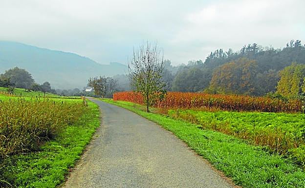 Uno de los caminos que los ciclistas encontrarán a orillas del río Oria durante la excursión.