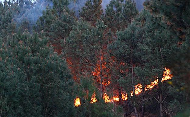 Galería. El incendio de Jaizkibel, en imágenes. 