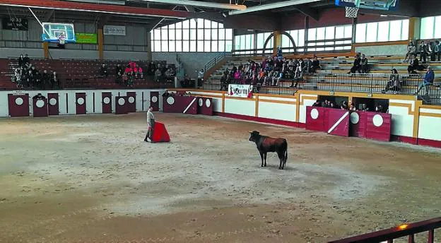 Plaza de toros multiusos francesa que la peña pone como ejemplo.