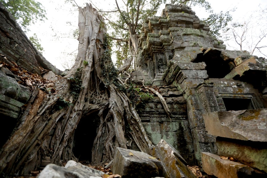 El templo de Ta Prohm se esconde en el frondoso bosque de la provincia de Siem Reap, Camboya. La construcción, de finales del siglo XII, es famosa por integrarse con la naturaleza y por haber sido escenario del vídeo juego de Tom Raider. 