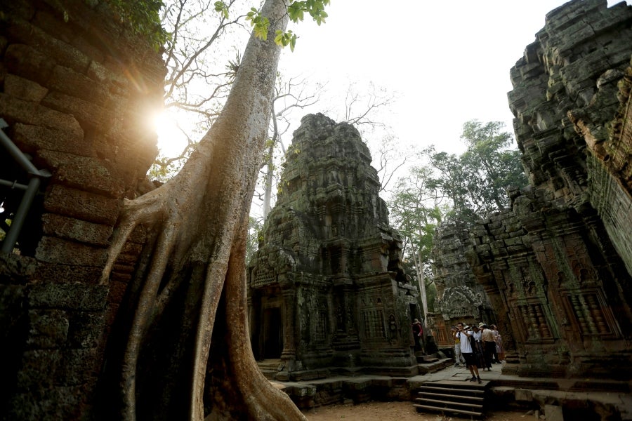 El templo de Ta Prohm se esconde en el frondoso bosque de la provincia de Siem Reap, Camboya. La construcción, de finales del siglo XII, es famosa por integrarse con la naturaleza y por haber sido escenario del vídeo juego de Tom Raider. 