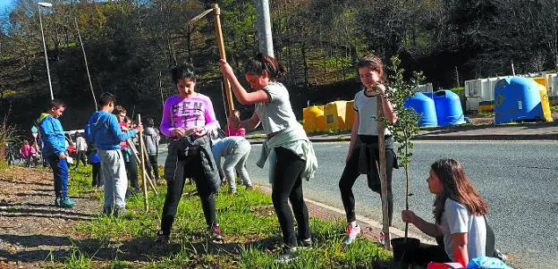 Cita anual. Un grupo de escolares preparando el terreno para plantar un árbol en Albitxuri . 