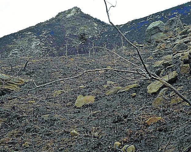 Así quedó parte de la zona que resultó afectada por el incendio.