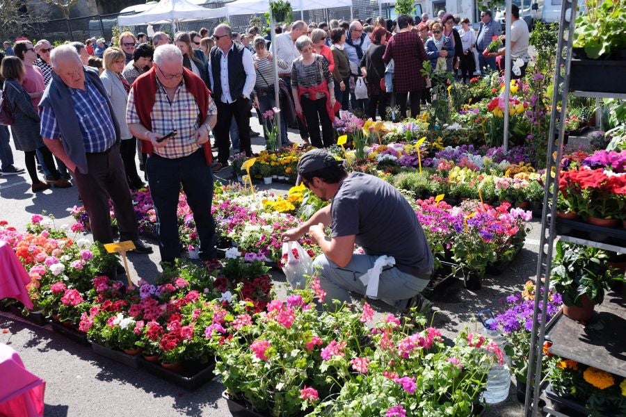 La localidad de Segura ha acogido este domingo su tradicional Feria de Flores y Plantas de Primavera