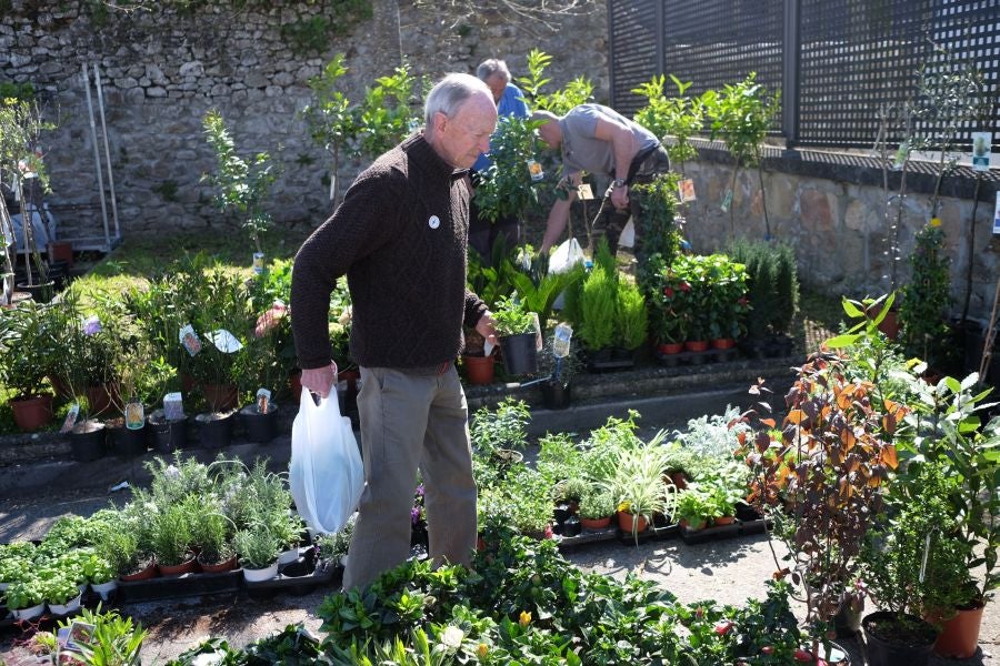 La localidad de Segura ha acogido este domingo su tradicional Feria de Flores y Plantas de Primavera