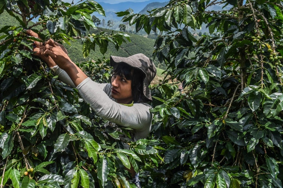 La colombiana Roxana Panchi Gutiérrez, una joven transexual indígena de 24 años, se reúne con sus dos amigas de toda la vida, en el pueblo indígena Cristiania, departamento de Antioquia, para crear accesorios con cuentas. Las mismas cuentas que iluminan las últimas creaciones de la diseñadora colombiana Laura Laurens, cuyos diseños viajan desde Bogotá a Londres, París y Nueva York.