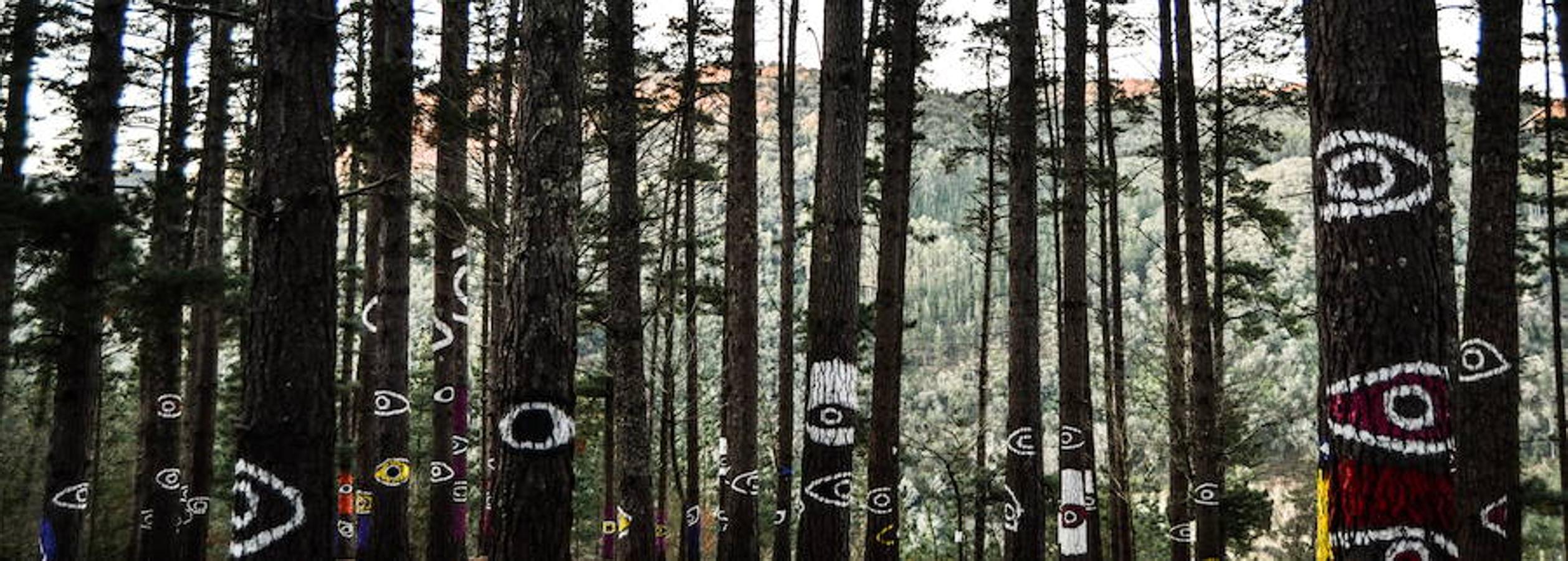 Fotos: El bosque de Oma