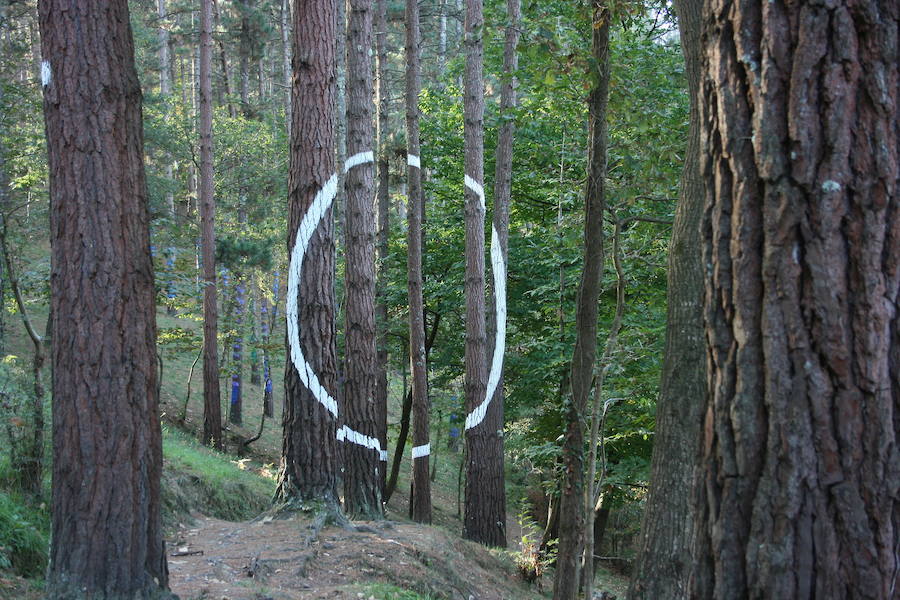 Fotos: El bosque de Oma