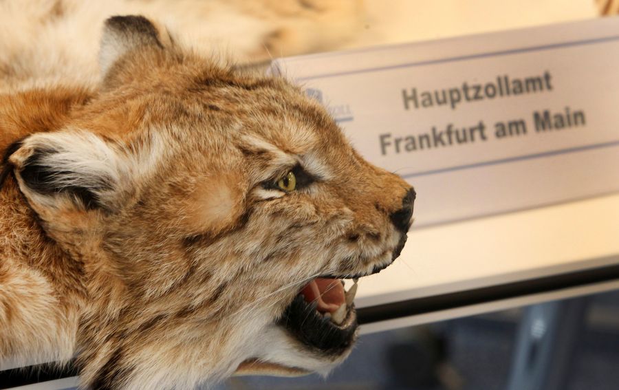 El personal del aeropuerto de Frankfurt am Main muestra a la prensa algunos de los objetos confiscados durante las labores de vigilancia de las instalaciones. 