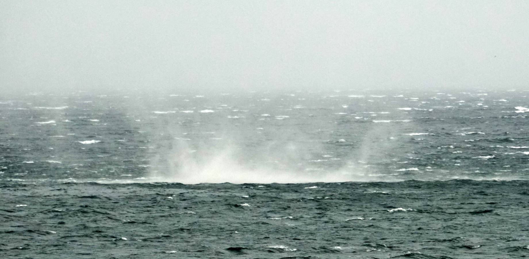 Tras el buen tiempo de la mañana, la tormenta ha llegado a la capital guipuzcoana por la tarde