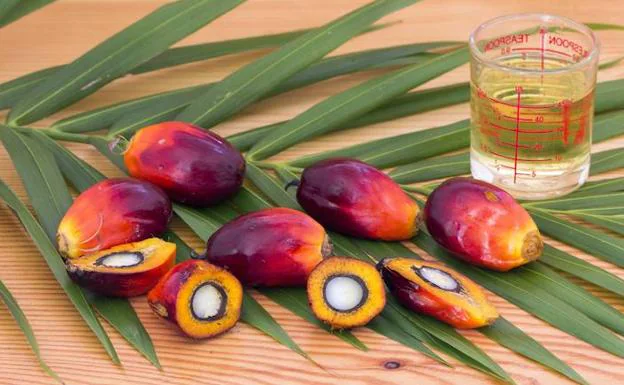 El veneno del aceite de palma