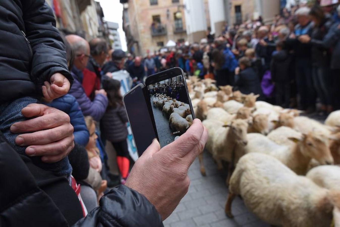 Más de 2.000 ovejas cruza este miércoles por la mañana el casco histórico de Ordizia. Serán protagonistas, como cada miércoles de Pascua, del Artzain Eguna o Día del Pastor en la localidad goierriarra.