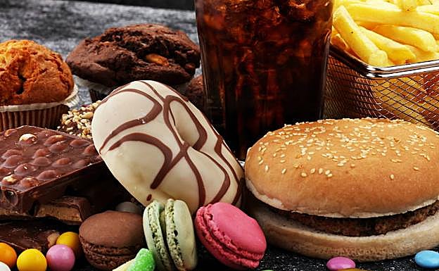 Descubren el circuito cerebral que motiva a seguir comiendo sin hambre