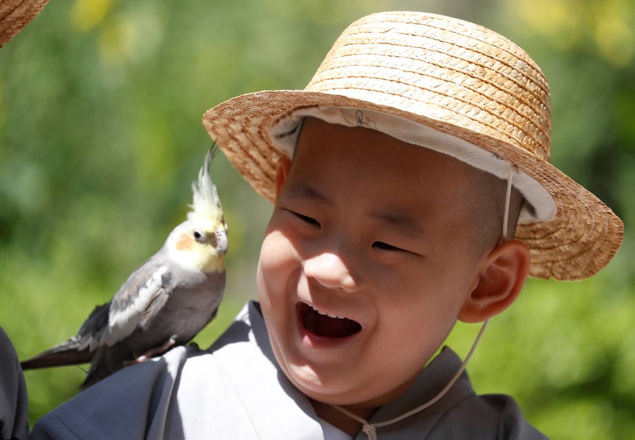 Monjes novicios surcoreanos disfrutan de su visita a Everland, el parque de diversiones más grande de Corea del Sur. Los niños están experimentando la vida monástica en las tres semanas previas al próximo cumpleaños de Buda el 12 de mayo.