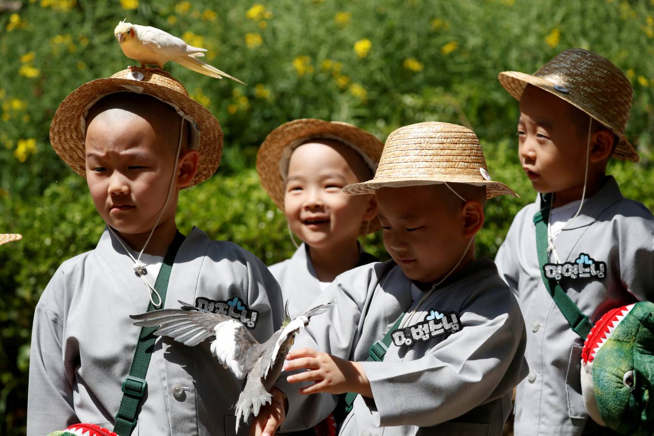 Monjes novicios surcoreanos disfrutan de su visita a Everland, el parque de diversiones más grande de Corea del Sur. Los niños están experimentando la vida monástica en las tres semanas previas al próximo cumpleaños de Buda el 12 de mayo.