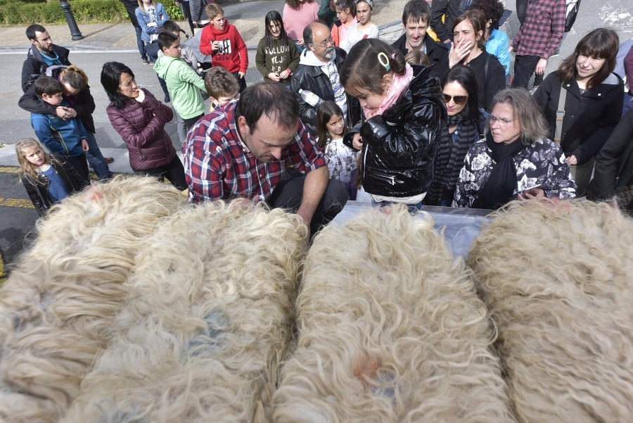 Comienza la feria del queso vasco de Idiazabal. Un total de 29 fabricantes de queso de Euskadi, Iparralde y Navarra han acercado sus quesos a la plaza mayor de Idiazabal, escenario de gran parte de los actos organizados con motivo de esta feria. 
