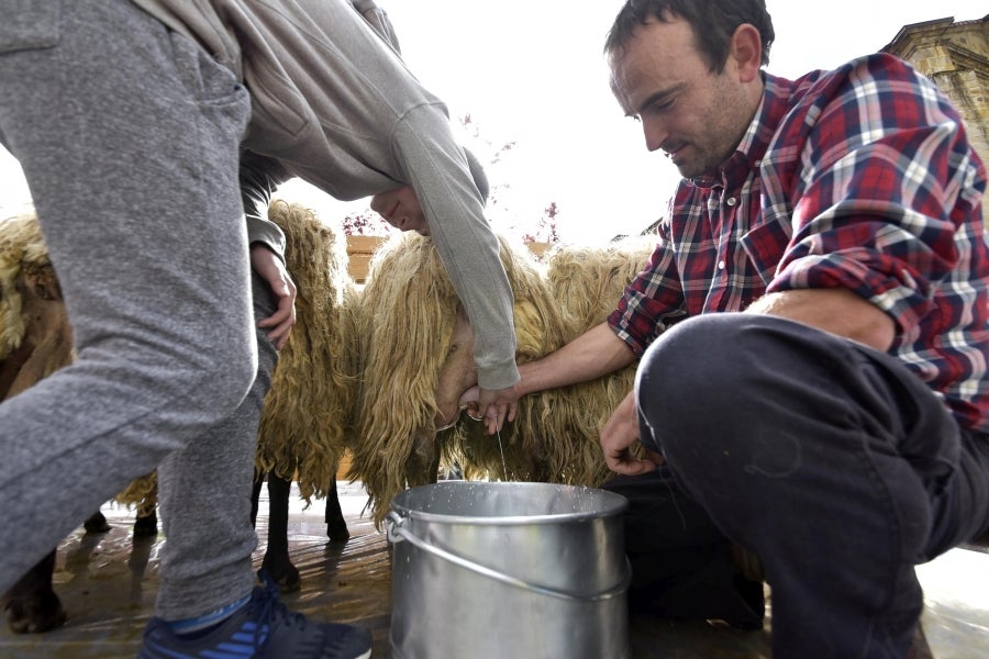 Comienza la feria del queso vasco de Idiazabal. Un total de 29 fabricantes de queso de Euskadi, Iparralde y Navarra han acercado sus quesos a la plaza mayor de Idiazabal, escenario de gran parte de los actos organizados con motivo de esta feria. 