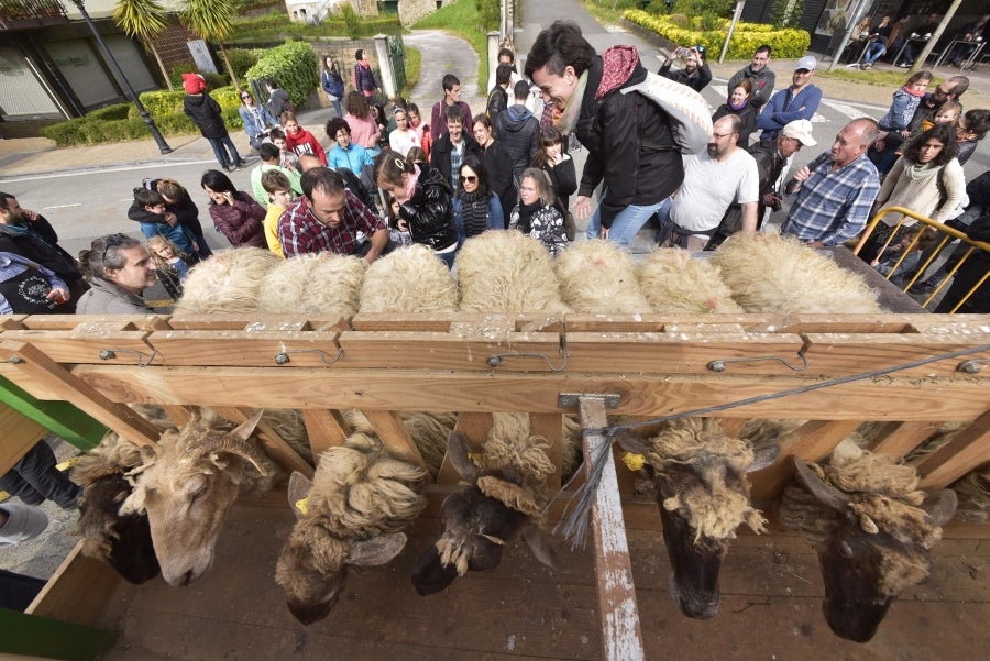Comienza la feria del queso vasco de Idiazabal. Un total de 29 fabricantes de queso de Euskadi, Iparralde y Navarra han acercado sus quesos a la plaza mayor de Idiazabal, escenario de gran parte de los actos organizados con motivo de esta feria. 