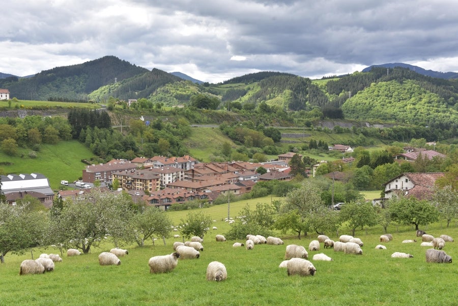Comienza la feria del queso vasco de Idiazabal. Un total de 29 fabricantes de queso de Euskadi, Iparralde y Navarra han acercado sus quesos a la plaza mayor de Idiazabal, escenario de gran parte de los actos organizados con motivo de esta feria. 