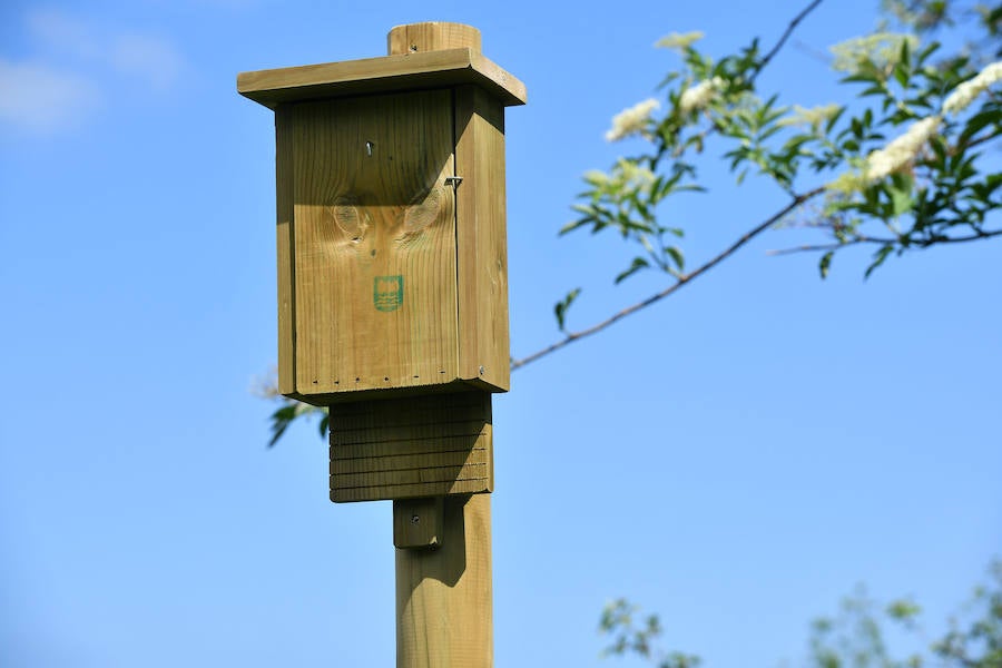 Sagardotegis y txakolindegis del territorio participan junto al Departamento de Ornitología de Aranzadi en un proyecto piloto para controlar las plagas de forma biológica 