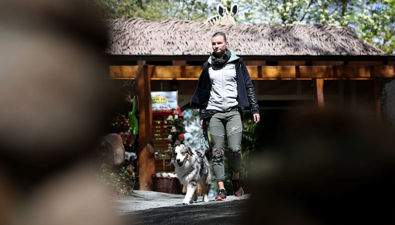 Alexandra Popov, capitana de la selección alemana que disputará el próximo Mundial, visita a los animales del parque de Essehof, donde se formó como cuidadora, para despejar su cabeza antes de la cita mundialista en Francia. 