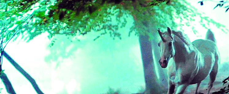 Deckard. El unicornio de su sueño le apunta como un replicante. Los replicantes como Rachel tienen recuerdos. Son implantes de memoria que les ocultan lo que son. La psicología ha demostrado en las últimas décadas que es posible implantar y manipular recuerdos ajenos, y que cada vez que recordamos recreamos el pasado.