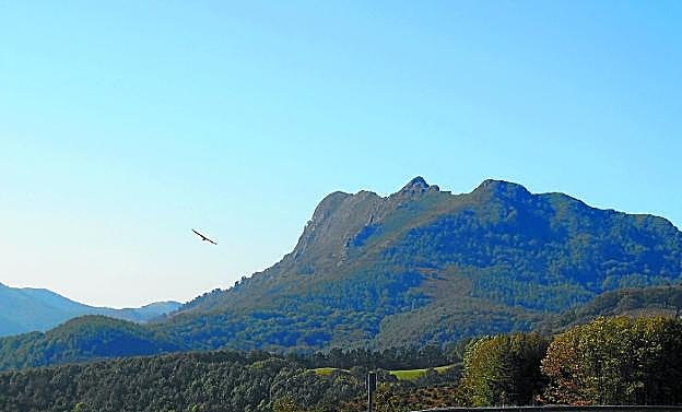 Un ave sobrevuela el entorno de Erlaitz, donde se encuentra el punto de información de Lapurriturri. 