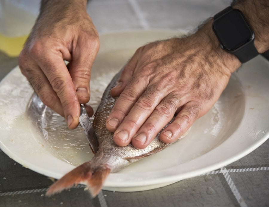 La Feria de Tolosa ha vuelto a la localidad con la SIdra y el Besugo como protagonistas. Así decenas de comensales han podido disfrutar del mejor menú con un tiempo inmejorable.