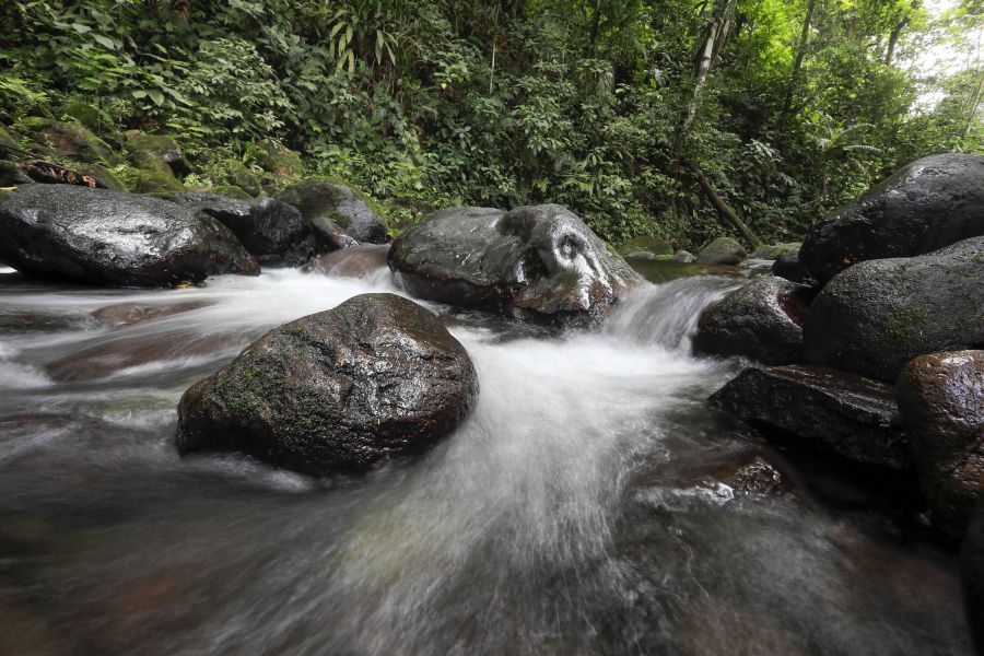 Costa Rica celebró el Día Mundial del Medio Ambiente con la creación del Parque Nacional Miravalles-Jorge Manuel Dengo, el número 29 del país, así como con el lanzamiento de una página para mostrar información sobre su rica biodiversidad. 