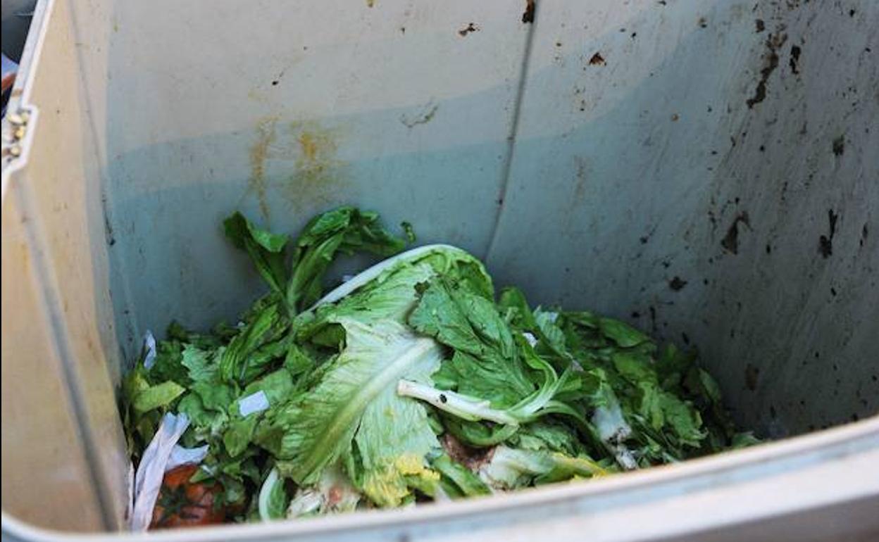 Investigadores vascos buscan desarrollar nuevos alimentos a partir de desperdicios
