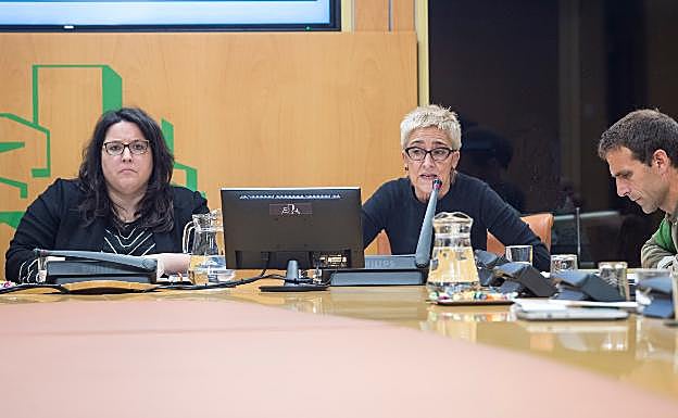 Ana Pérez y Aitor Idigoras, de Steilas, en su comparecencia de hoy