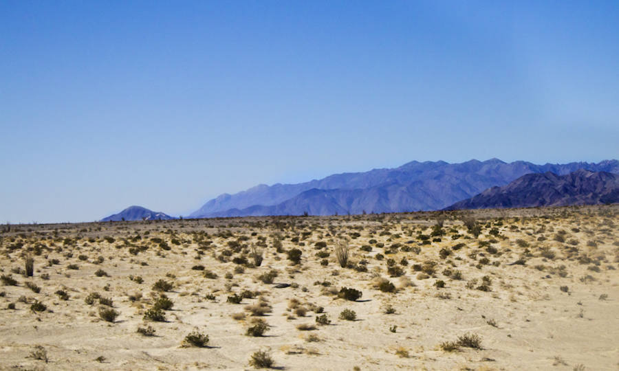 CALOR | San Luis Río Colorado, en México, ha llegado a registrar 59,5ºC en sus termómetros. Se encuentra situada, concretamente, en el estado mexicano de Sonora, entre la zona del desierto de Altar y el Estado de Baja California. Puede presumir de ser una de las ciudades más 'calientes' del planeta.